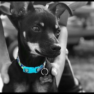 Meet your Posher, Zoe